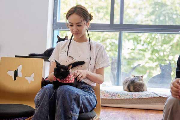 1691634877393743.jpg 蔡依林给黑猫四宝按摩.jpg