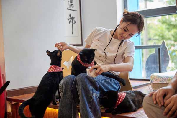 1691634964681821.jpg 蔡依林喂食黑猫.jpg